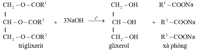 Tính chất hóa học của Chất béo (Lipit) | Tính chất vật lí, nhận biết, điều chế, ứng dụng