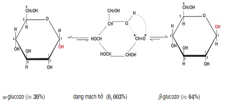 Tính chất hóa học của Glucozo | Tính chất vật lí, nhận biết, điều chế, ứng dụng