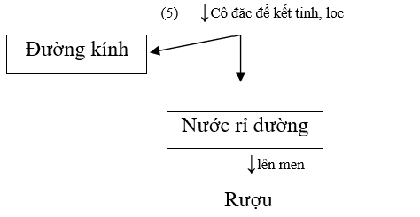 C12H22O11 (Saccharose) (Tính chất hóa học, vật lí, nhận biết, điều chế, ứng dụng)