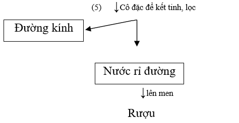 Tính chất hóa học của Saccarozo | Tính chất vật lí, nhận biết, điều chế, ứng dụng