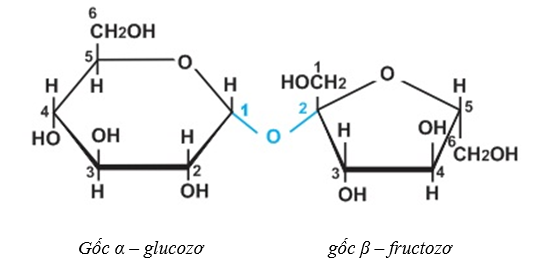 Tính chất hóa học của Saccarozo | Tính chất vật lí, nhận biết, điều chế, ứng dụng