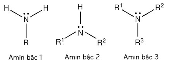 Tính chất hóa học của Amin | Tính chất vật lí, nhận biết, điều chế, ứng dụng