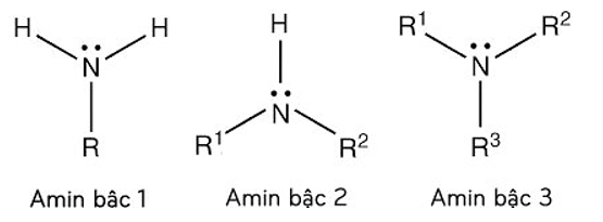 Tính chất hóa học của các Amin quan trọng | Tính chất vật lí, nhận biết, điều chế, ứng dụng