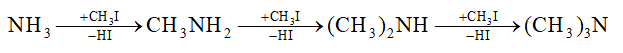 Trimethylamine (CH3)3N là gì
