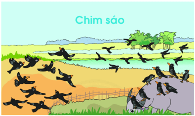 Toán lớp 1 Chân trời sáng tạo Em làm được những gì? (trang 123)
