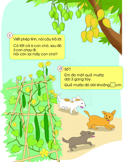 Toán lớp 1 Chân trời sáng tạo Em làm được những gì? (trang 144)