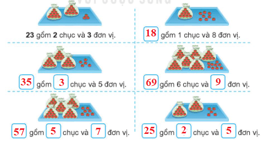 Toán lớp 1 Bài 21: Số có hai chữ số trang 5 | Kết nối tri thức