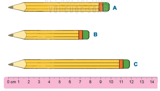 Toán lớp 1 Bài 27: Thực hành ước lượng và đo độ dài trang 36 | Kết nối tri thức