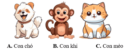 12 Bài tập trắc nghiệm Vị trí, định hướng trong không gian lớp 1 (có lời giải)