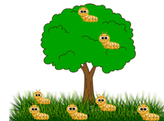 12 Bài tập trắc nghiệm Vị trí, định hướng trong không gian lớp 1 (có lời giải)