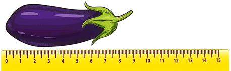 10 Bài tập trắc nghiệm Đơn vị đo độ dài lớp 1 (có lời giải)