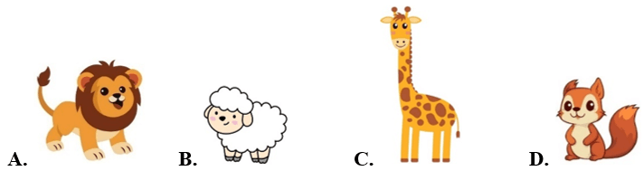 10 Bài tập trắc nghiệm Thực hành ước lượng và đo độ dài lớp 1 (có lời giải)