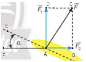 Khi máy bay nghiêng cánh một góc Alpha, lực F của không khí tác động vuông góc với cánh