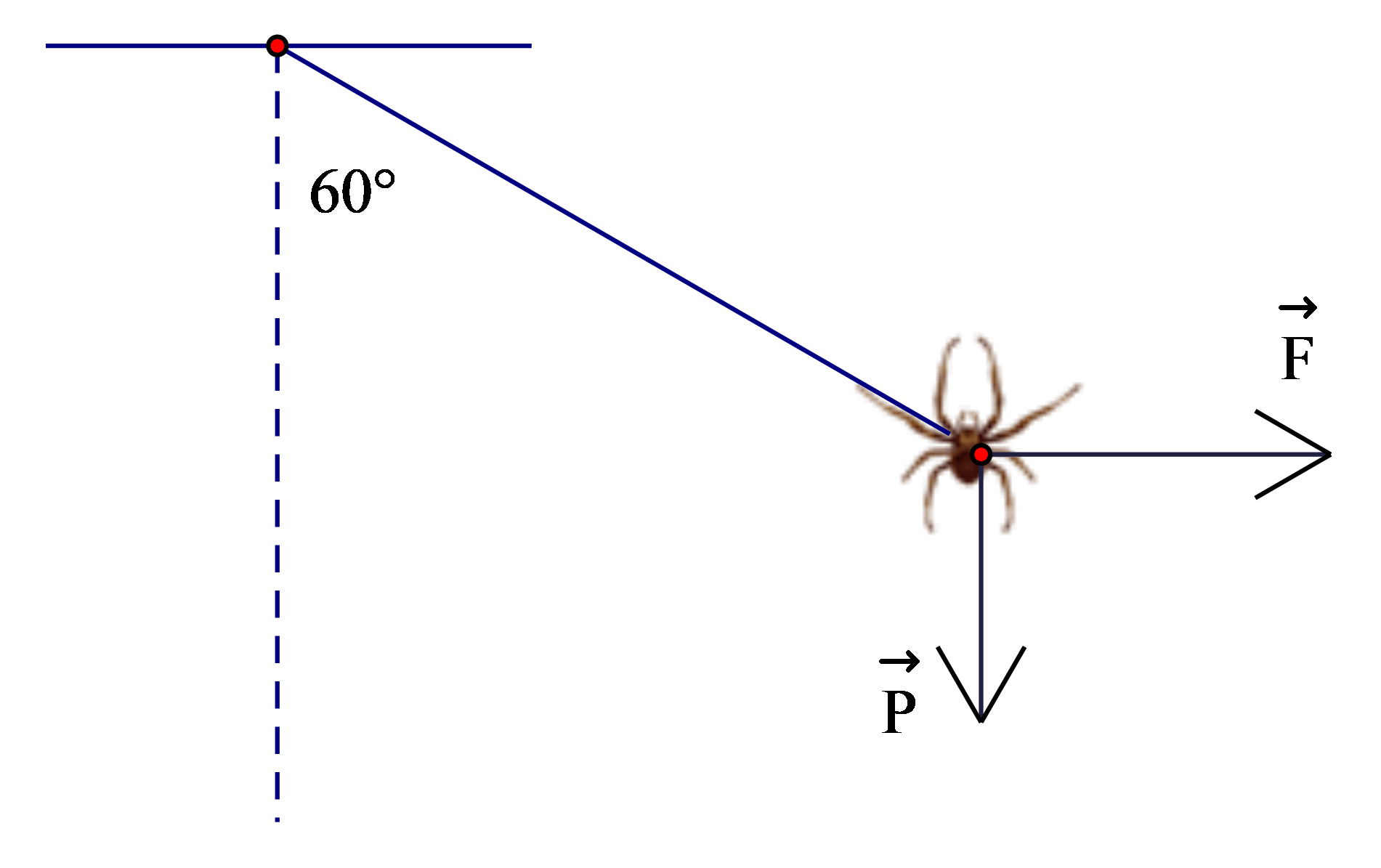 Đề kiểm tra Toán 10 Chân trời sáng tạo Chương 5 (có lời giải)
