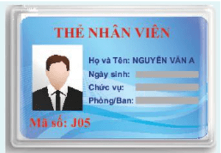 Hoạt động khởi động trang 20 Toán lớp 10 Tập 2 Chân trời sáng tạo | Giải Toán lớp 10