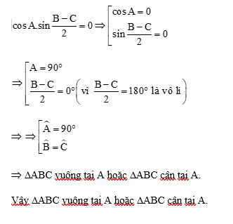 15 Bài tập Giải tam giác và ứng dụng thực tế (có đáp án) | Chân trời sáng tạo Trắc nghiệm Toán 10