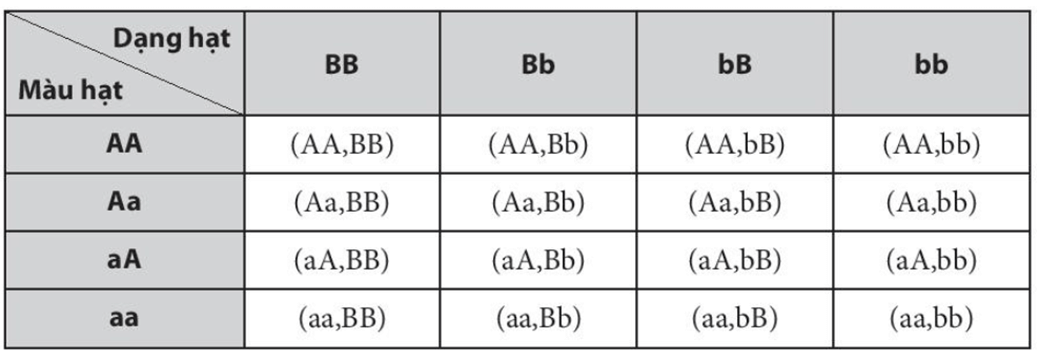 Bài 9.12 trang 87 Toán 10 Tập 2 | Kết nối tri thức Giải Toán 10
