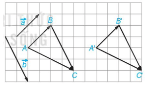 HĐ1 trang 51 Toán 10 Tập 1 | Kết nối tri thức Giải Toán lớp 10