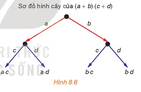 Sơ đồ hình cây của tích hai nhị thức (a + b) . (c + d) được xây dựng như sau