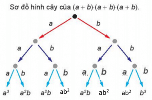 Hãy cho biết các đơn thức còn thiếu (...) trong sơ đồ hình cây (H.8.7) của tích (a + b) . (a + b) . (a + b)