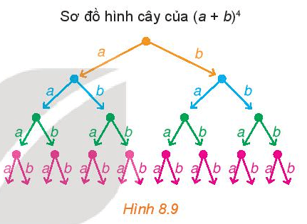 Sơ đồ hình cây của khai triển (a + b)4 được mô tả như Hình 8.9