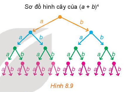 HĐ3 trang 73 Toán 10 Tập 2 | Kết nối tri thức Giải Toán lớp 10