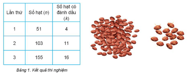 Trong tiết thực hành trải nghiệm của lớp 10A, tổ của Hà đã thực hiện các bước trên