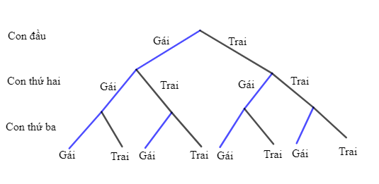 Trong một cuộc tổng điều tra dân số, điều tra viên chọn ngẫu nhiên một gia đình có ba người con