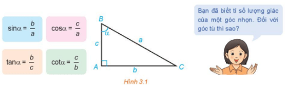 Bạn đã biết tỉ số lượng giác của một số góc nhọn