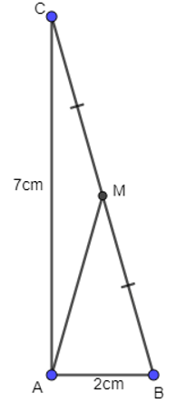 15 Bài tập Các khái niệm mở đầu (có đáp án) | Kết nối tri thức Trắc nghiệm Toán 10