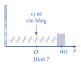 Bài 5 trang 75 Toán 11 Tập 2 | Cánh diều Giải Toán 11