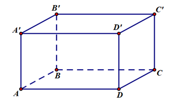 13 Bài tập trắc nghiệm Toán 11 Cánh diều Chương 4 (có đáp án)