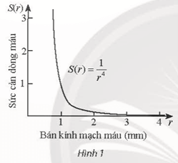 Bài 14 trang 52 Toán 11 Tập 2 Chân trời sáng tạo | Giải Toán 11