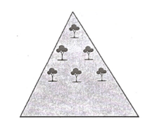 Đề kiểm tra Toán 11 Chân trời sáng tạo Chương 2 (có lời giải)