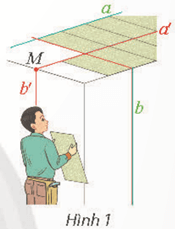 Hoạt động khám phá 1 trang 54 Toán 11 Tập 2 Chân trời sáng tạo | Giải Toán 11