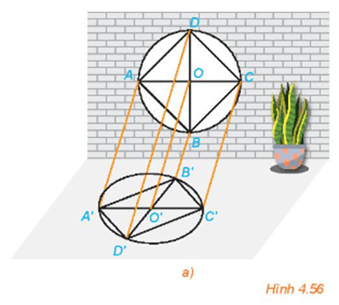 HĐ1 trang 95 Toán 11 Tập 1 | Kết nối tri thức Giải Toán 11