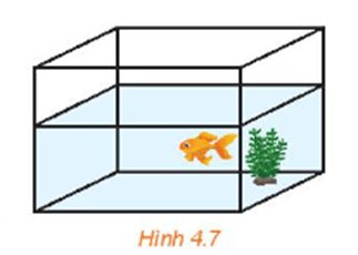 HĐ5 trang 73 Toán 11 Tập 1 | Kết nối tri thức Giải Toán 11