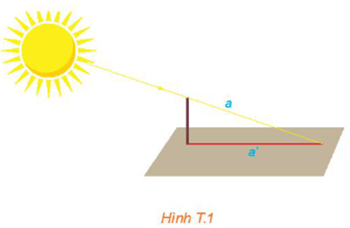 Toán 11 Kết nối tri thức Hoạt động thực hành trải nghiệm Hình học | Giải Toán 11