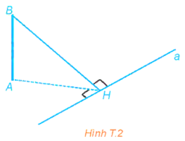 Toán 11 Kết nối tri thức Hoạt động thực hành trải nghiệm Hình học | Giải Toán 11