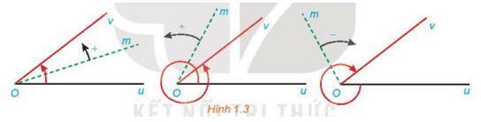 Lý thuyết Toán 11 Kết nối tri thức Bài 1: Giá trị lượng giác của góc lượng giác