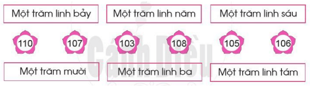 Toán lớp 2 Các số trong phạm vi 1000 trang 46,47,48 | Cánh diều