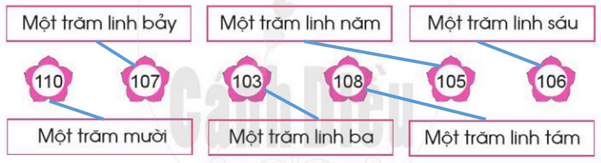 Toán lớp 2 Các số trong phạm vi 1000 trang 46,47,48 | Cánh diều