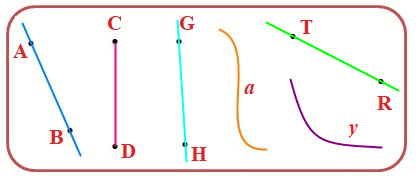 10 Bài tập trắc nghiệm Đường thẳng, Đường cong lớp 2 (có lời giải) | Toán lớp 2 Cánh diều