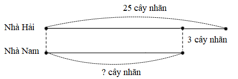 20 Bài tập trắc nghiệm Em ôn lại những gì đã học lớp 2 (có lời giải) | Toán lớp 2 Cánh diều
