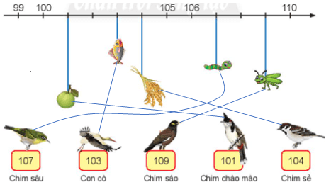 Toán lớp 2 Các số từ 101 đến 110 trang 42, 43, 44 | Chân trời sáng tạo.