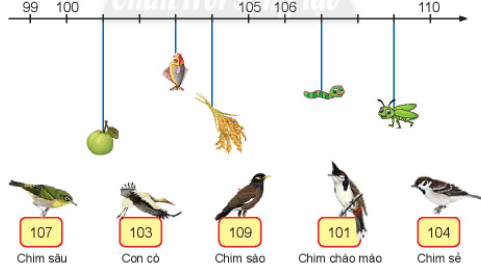 Toán lớp 2 Các số từ 101 đến 110 trang 42, 43, 44 | Chân trời sáng tạo.