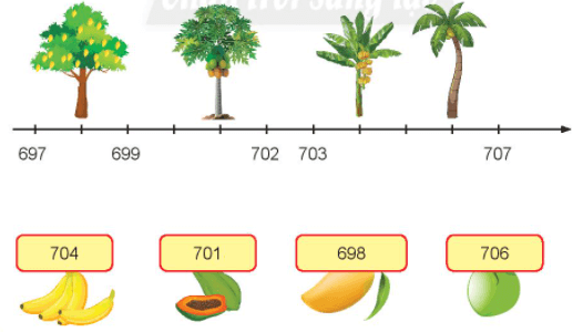 Toán lớp 2 Em làm được những gì trang 55, 56, 57, 58 | Chân trời sáng tạo.