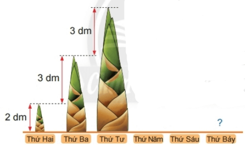 Toán lớp 2 Em làm được những gì trang 77, 78, 79, 80 | Chân trời sáng tạo.