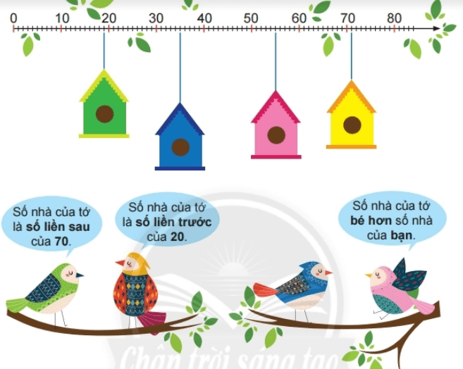 Toán lớp 2 Ôn tập các số trong phạm vi 100 trang 115, 116, 117, 118 | Chân trời sáng tạo.