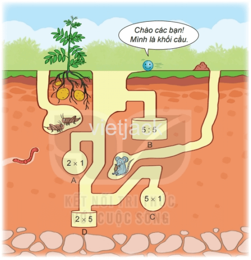 Toán lớp 2 - tập 2 - Bài 46